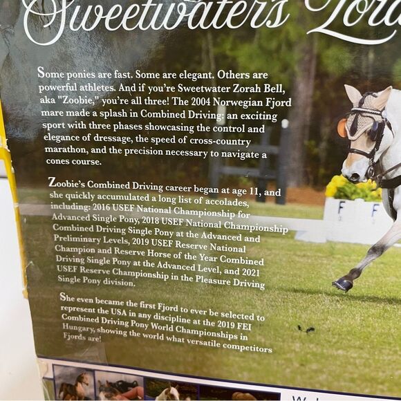 NEW IN DAMAGED BOX BREYER SWEETWATER’S LORAH BELLE - Picture 4 of 6